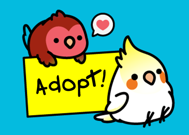 Adopt a Bird!