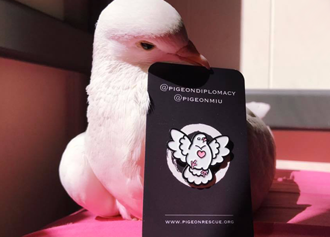 Chubby Pigeon Pin for Palomacy Pigeon Rescue
