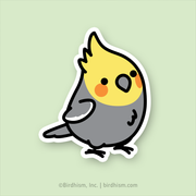Sticker of a male grey Cockatiel