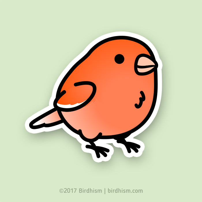 Chubby Blue Jay Sticker – birdhism