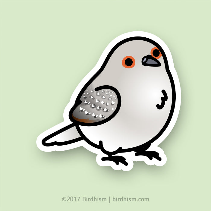 Bird Stickers