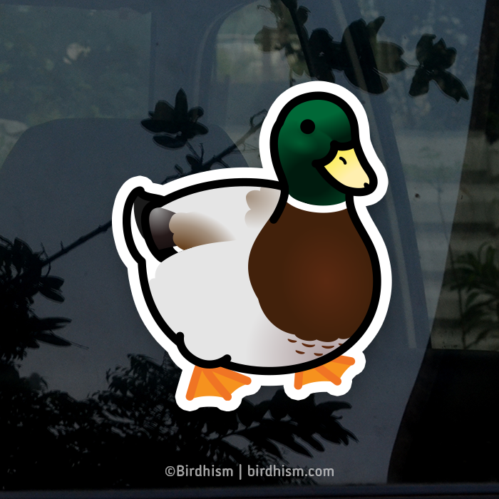 Duck Life Duck Duck Decal 7x2 Inch 