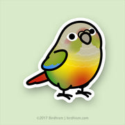 Sticker of a Pineapple Green Cheek Conure