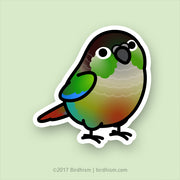 Sticker of a Green Cheek Conure