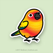 Chubby Sun Conure Stickers
